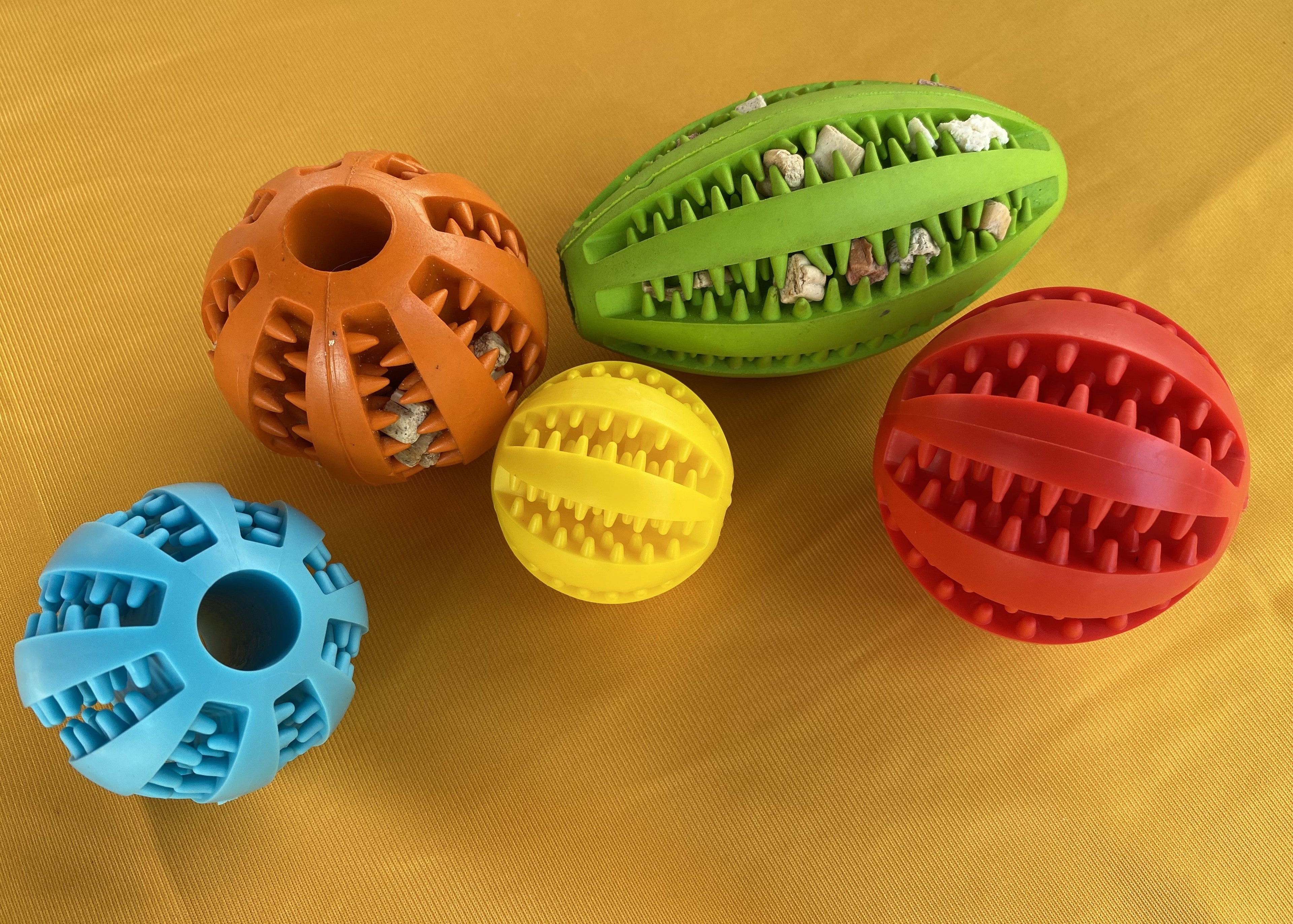 Dog accessories