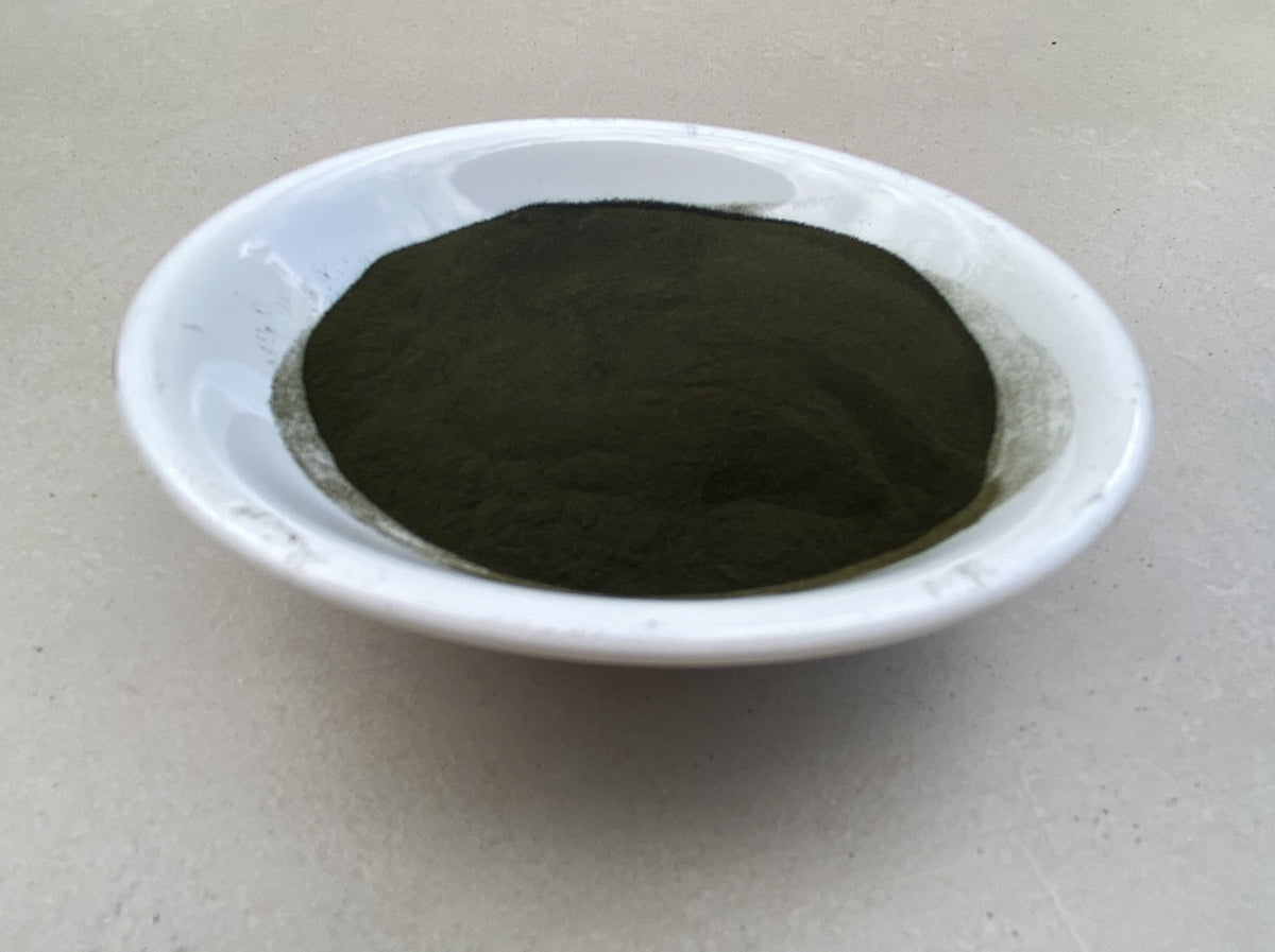 Chlorella Powder 100g
