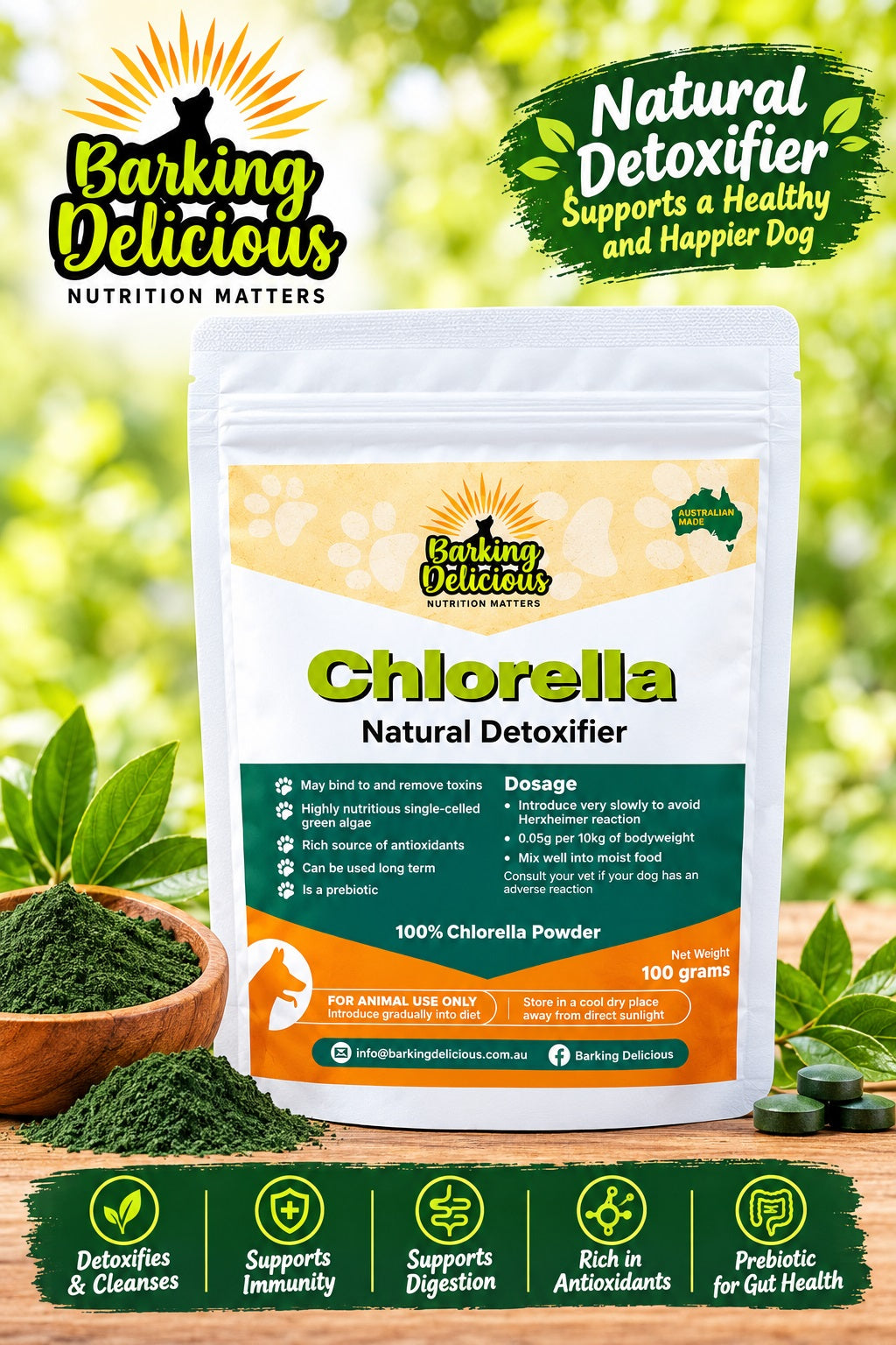 Chlorella Powder 100g