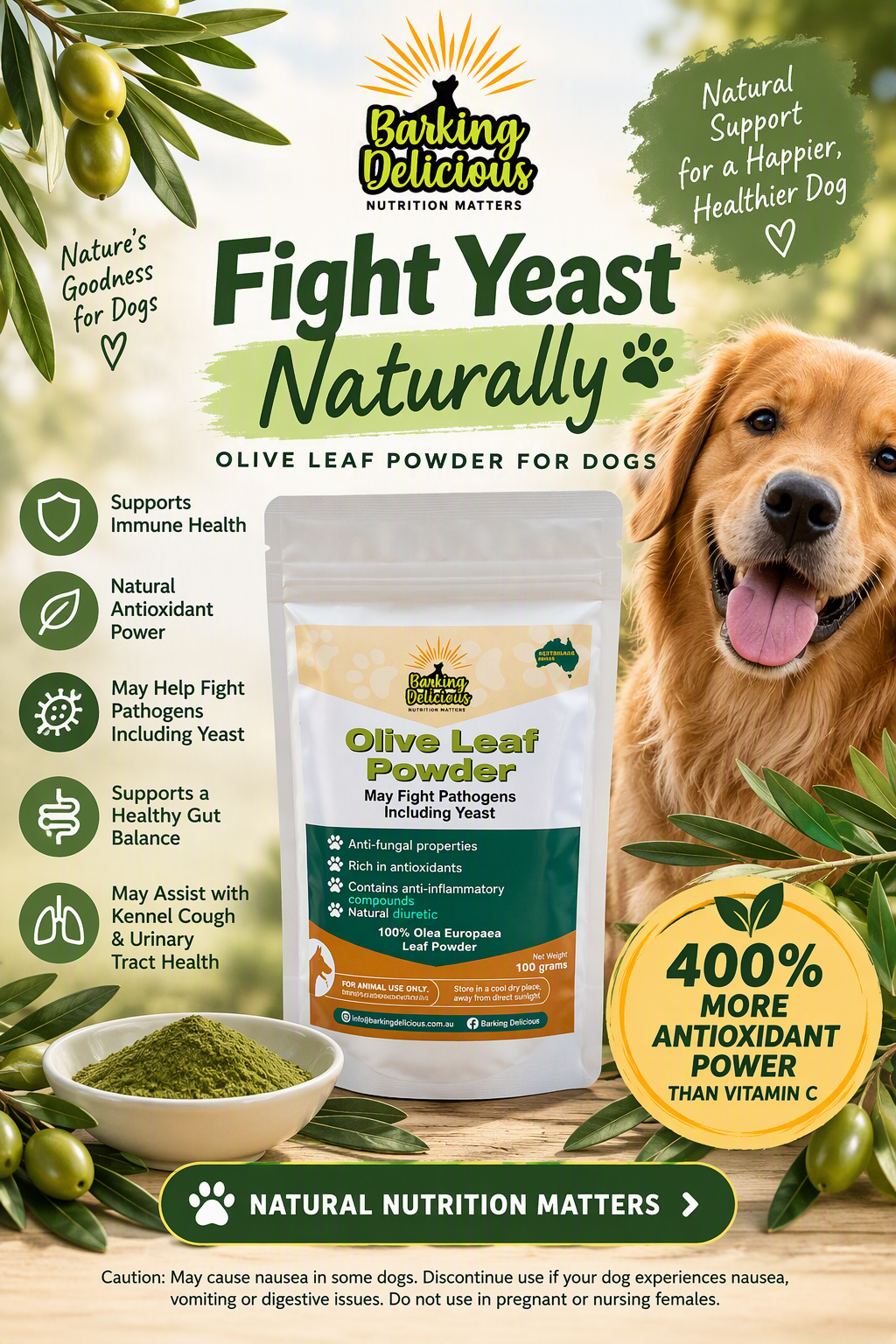 Olive Leaf Powder 100g