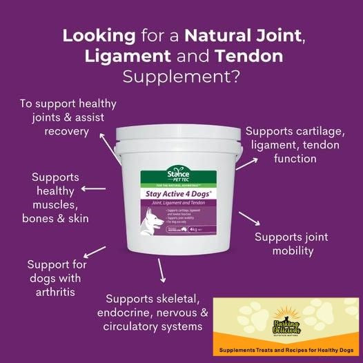 Stay Active 4 Dogs® 600g