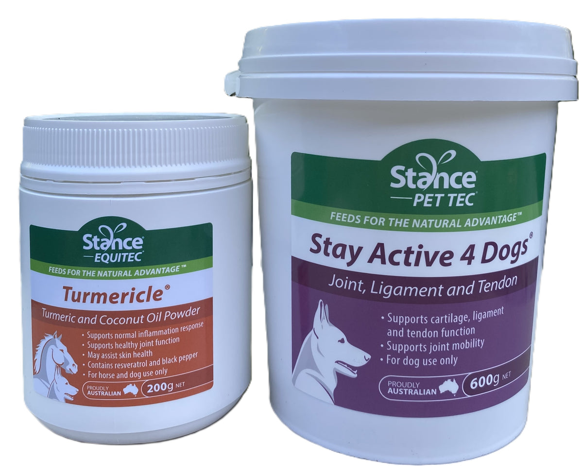 Turmericle 200g plus Stay Active 4 Dogs 600g