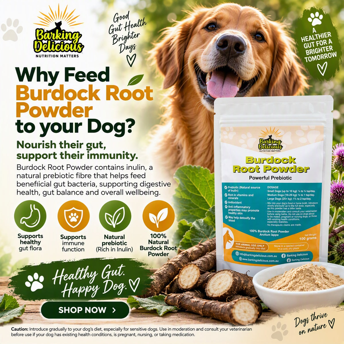 Burdock Root Powder 100g